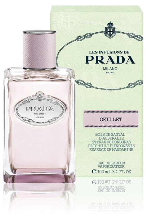 prada infusion d oeillet|Infusion d'Oeillet Prada for women and men .